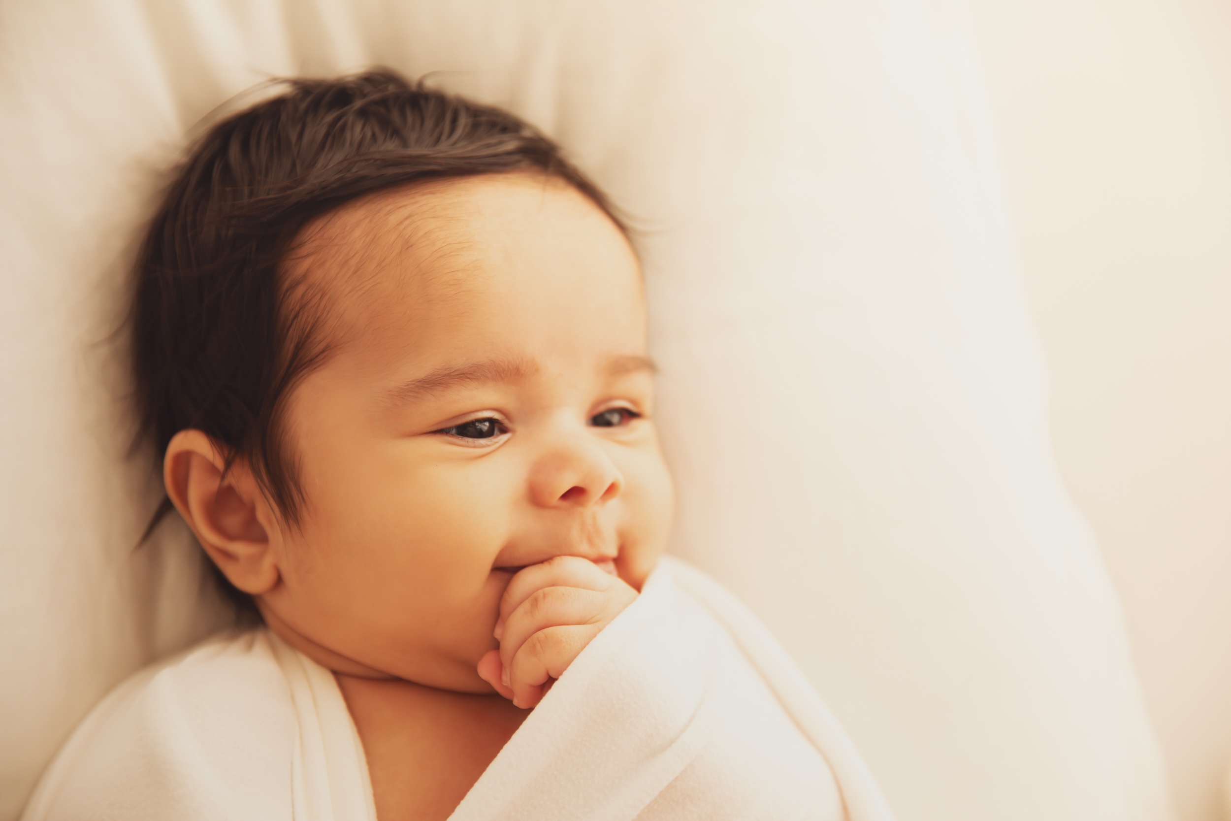 Studio newborn portrait